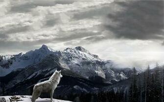 Mountains Wolf Landscape Clouds Snow Mist Wallpaper HD