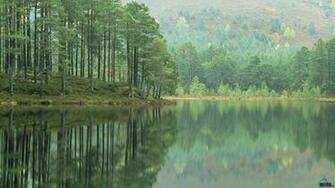 Wallpaper Loch Ness Shore X Desktop