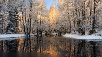 Forest Snow Ice Cork River Winter Desktop Background