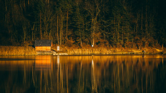 Wood House Wallpaper In Forest