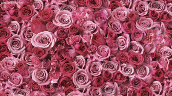 Cute Girly Wallpaper For Laptop
