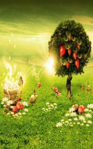 Kindle Fire HD Wallpaper Ppt Garden