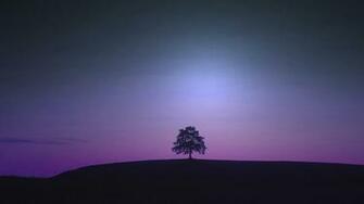 Violet HD Wallpaper High Definition Quality