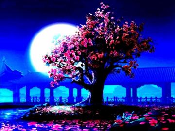 Pink Tree In The Moonlight Wallpaper And Background Image