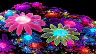 Bright Flower Wallpaper