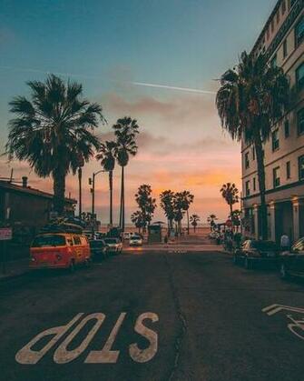 Websta Highsnobiety Venice Beach California Shot By