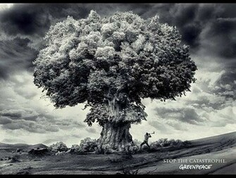 Go Back Gallery For Mushroom Cloud Wallpaper