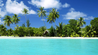 Tropical Desktop Wallpaper