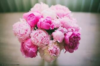 Wallpaper Bouquet Flowers Peonies Petals Desktop