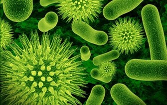 Bacteria Nanoschematic Wallpaper Pictures In High Definition