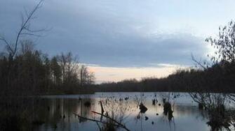 Sitting Duck Check Out Ducks Unlimiteds Hunt