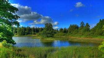 Wallpaper Germany Landscape Lake Hessen Grass Nature