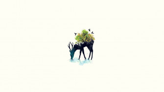 Minimalist Nature Wallpaper