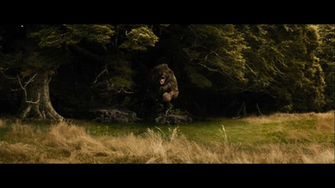 The Hobbit Desolation Of Smaug Beorn Skinchanger Png