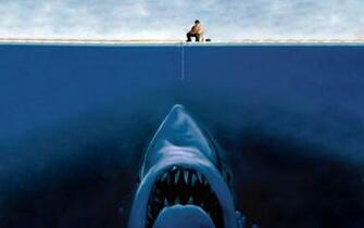 Pin Funny Shark Wallpaper