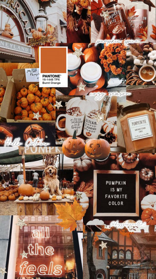 Cute Autumn Wallpaper