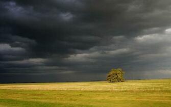 Summer Storm Wallpaper