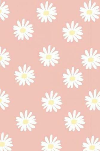 Wallpaper Accounts Puffinator iPhone