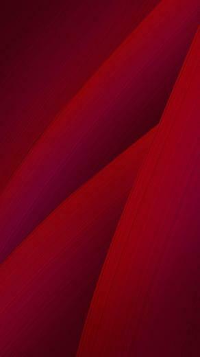 Asus Zenfone Wallpaper News Tips Tutorial