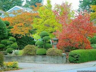 Desktop Wallpaper Natural Background Garden