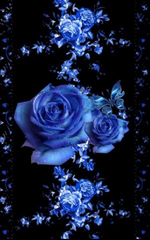 Blue Roses Wallpaper Flower Red