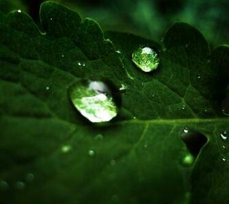 Sony Ericsson Wallpaper HD For Your Cell Phone