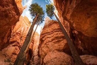 Canyon National Park Bryce Wallpaper Tags Nature Usa Utah