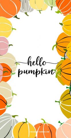 Cute Autumn Wallpaper Aesthetic Fall Lockscreen iPhone