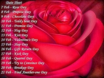 Valentine Day Wallpaper New Romantic Funny Doblelol
