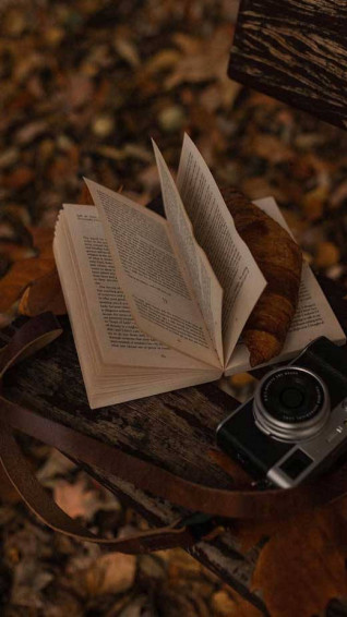 Dark Brown Aesthetic Picture Wallpaper