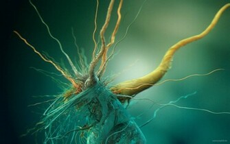 Bacteria Wallpaper Hq
