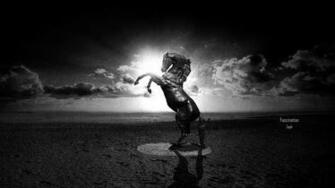 Wallpaper Water Black White Horse Abstraction Full HD