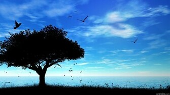 Clouds Nature Wallpaper Trees Silhouette