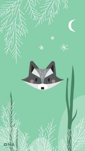 Raccoon Wallpaper For Your Phone iPhone6 iPhone5