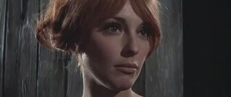 Sharon Tate Image Fearless Vampire Killers Wallpaper