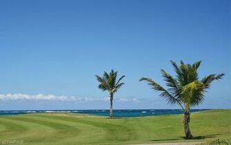 Sport Golf Kurs Strand Vektorgrafik