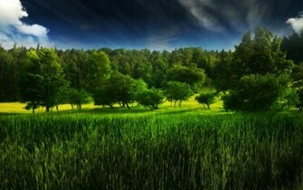 Wallpaper Landscape Windows