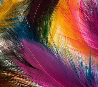 You Can Today Wallpaper From Our