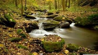 Unique Wallpaper Most Exotic River HD Part
