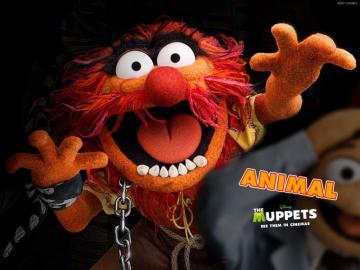 Muppets Animal Wallpaper On
