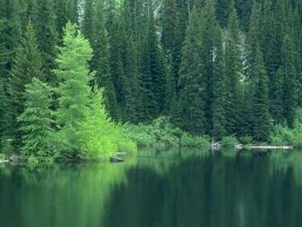 Water Wallpaper