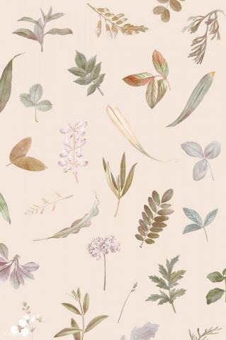 Premium Vector Of Foliage Pattern On Beige Background