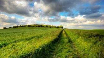 Summer Fields Full HD Desktop Wallpaper 1080p