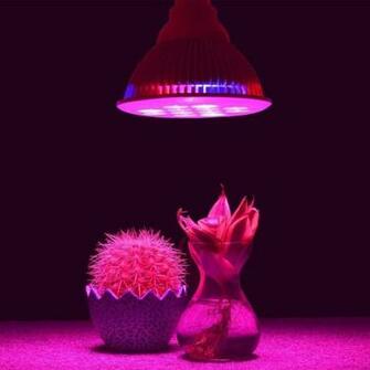 Led Grow Light Bulb E27 36w Red Blue Hydroponics Plant