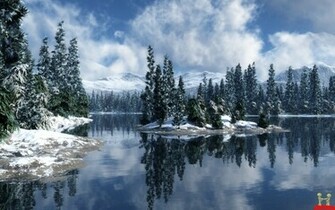 Snowy Trees By The Lake Wallpaper High Resolution
