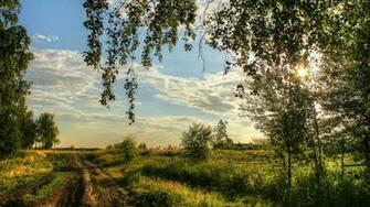 Country Road Wallpaper