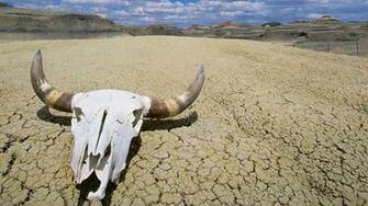 Best HD Death Valley National Park Wallpaper
