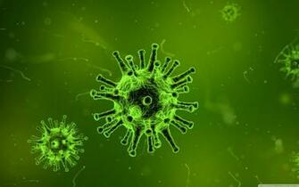 Virus Microscope 4k HD Desktop Wallpaper For Ultra Tv
