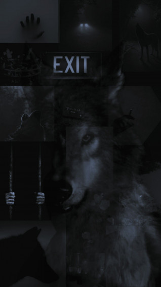 Aesthetic Wolf Laptop Wallpaper