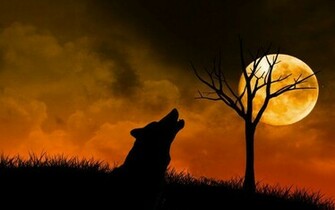 Sunset Loneliness Wallpaper Which Is Under The
